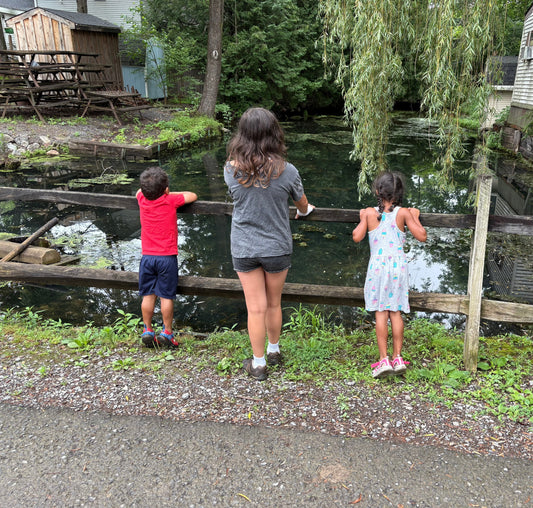Reflection, self care, overwhelmed parent